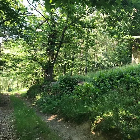 Les Grangeonnes, Nature, Piscine, Bain Nordique, Sauna Pour Accueil Familiale Ou De Groupe Lodge Saint-Basile