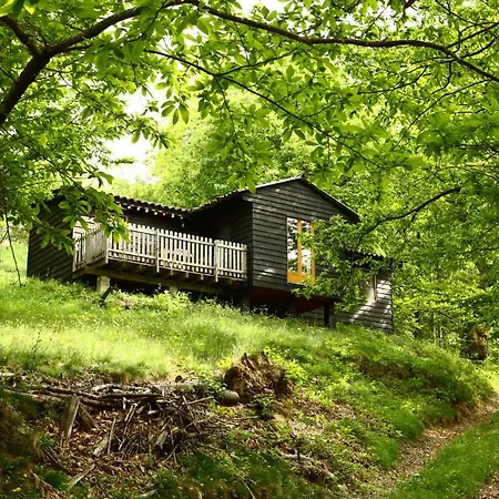 Les Grangeonnes, Nature, Piscine, Bain Nordique, Sauna Pour Accueil Familiale Ou De Groupe بيت خشبي Saint-Basile