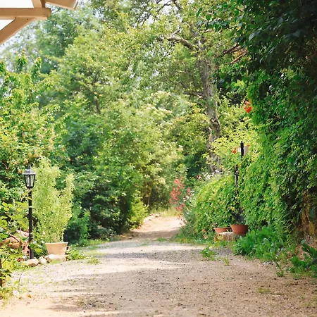 Les Grangeonnes, Nature, Piscine, Bain Nordique, Sauna Pour Accueil Familiale Ou De Groupe بيت خشبي